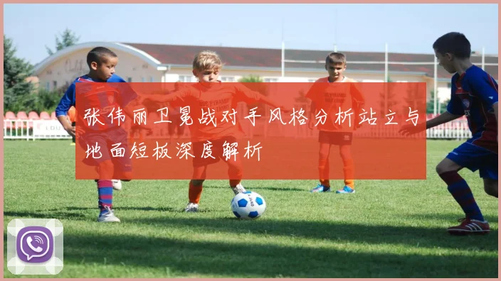 张伟丽卫冕战对手风格分析站立与地面短板深度解析